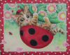 Ladybug  Kitty.jpg