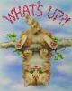 WhatsUp.jpg